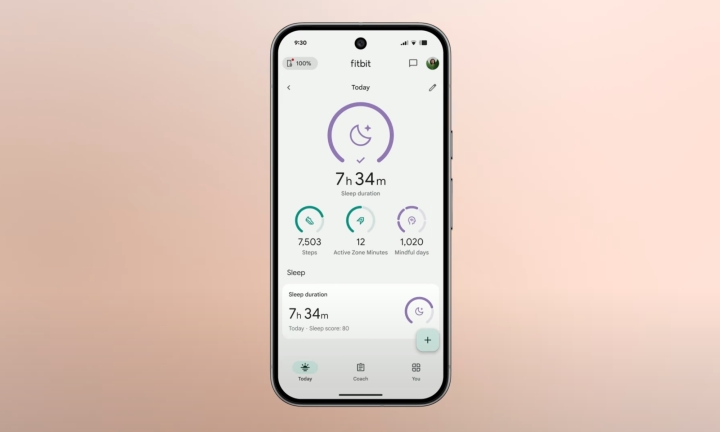Fitbit’s new conversational AI Coach turns your fitness data into actionable insights